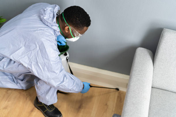 Best Bed Bug Extermination  in St James, MD